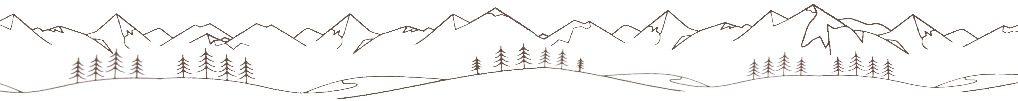 mtns-trees divider